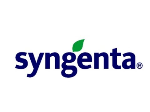 Syngenta logo in Blue on white