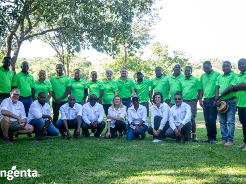group image