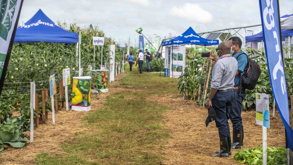 Syngenta Stand at Agritech Expo 2022, featuring Fields of vegetables and Flags