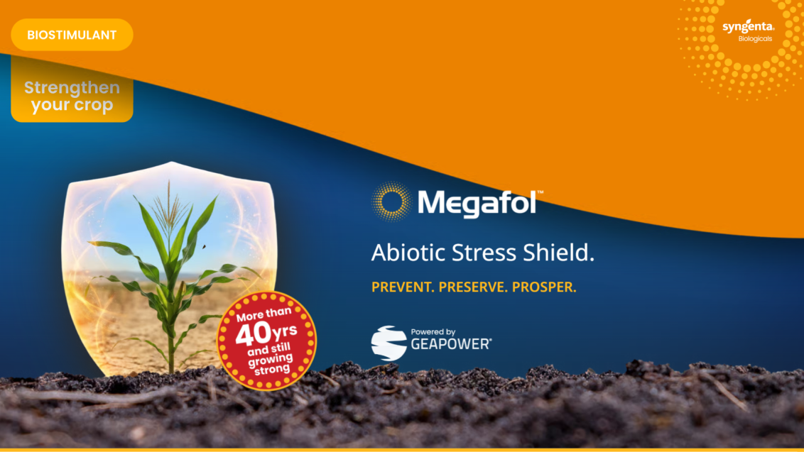 Megafol