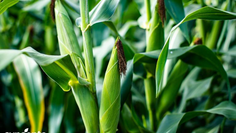 AgriTech 2023