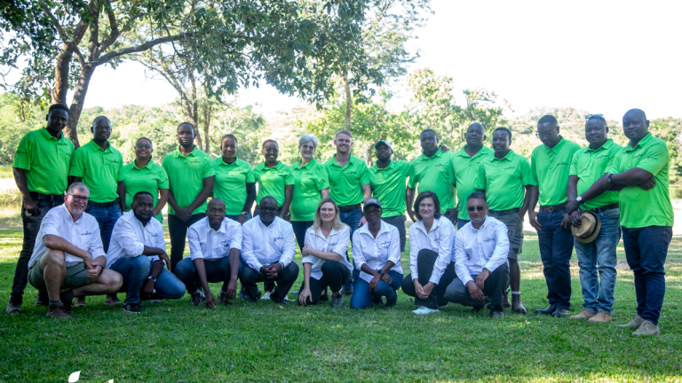 group image