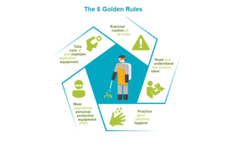 Five Golden Rules Illustration
