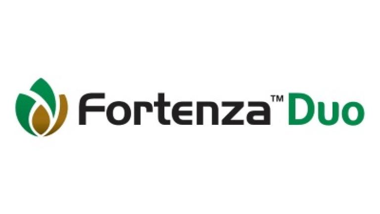 Fortenza Duo Logo